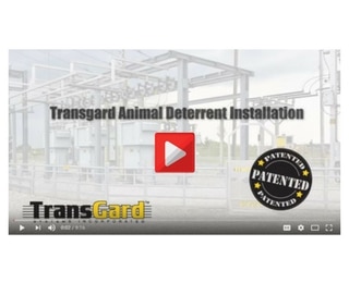 TransGard video grab