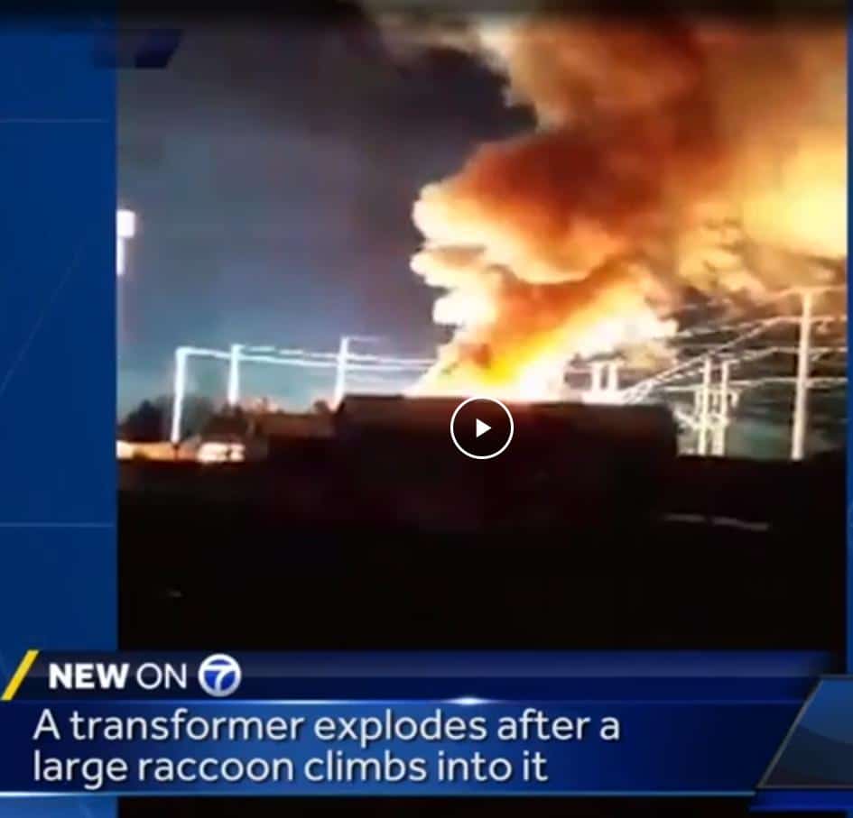 New Mexico Transformer Explosion