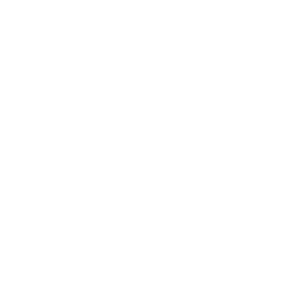 squirrel icon